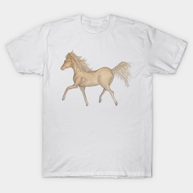 Brumby Run T-Shirt by AussieLogic